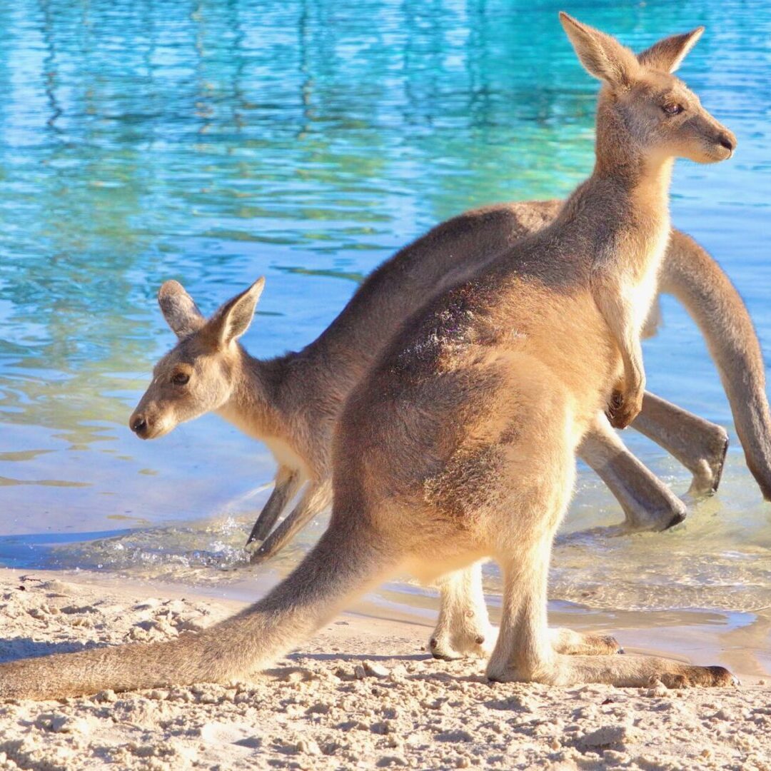 Australia